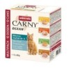 animonda Carny Ocean Adult Multipack Meeres-Vielfalt Nr. 2 12x80g