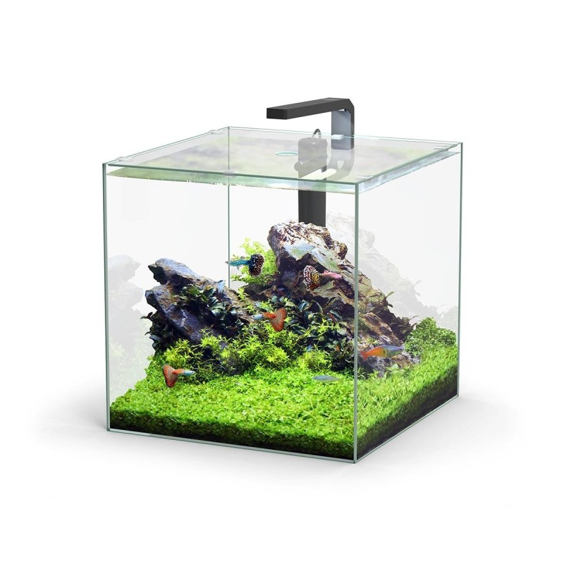 Aquatlantis Aquarium Set Kubus LED 54l