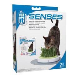 Catit Senses Gras Garten...