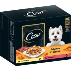 CESAR Selektion Gelee Huhn,...