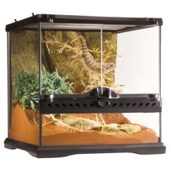 Exo Terra Glasterrarium 30x30x30 cm