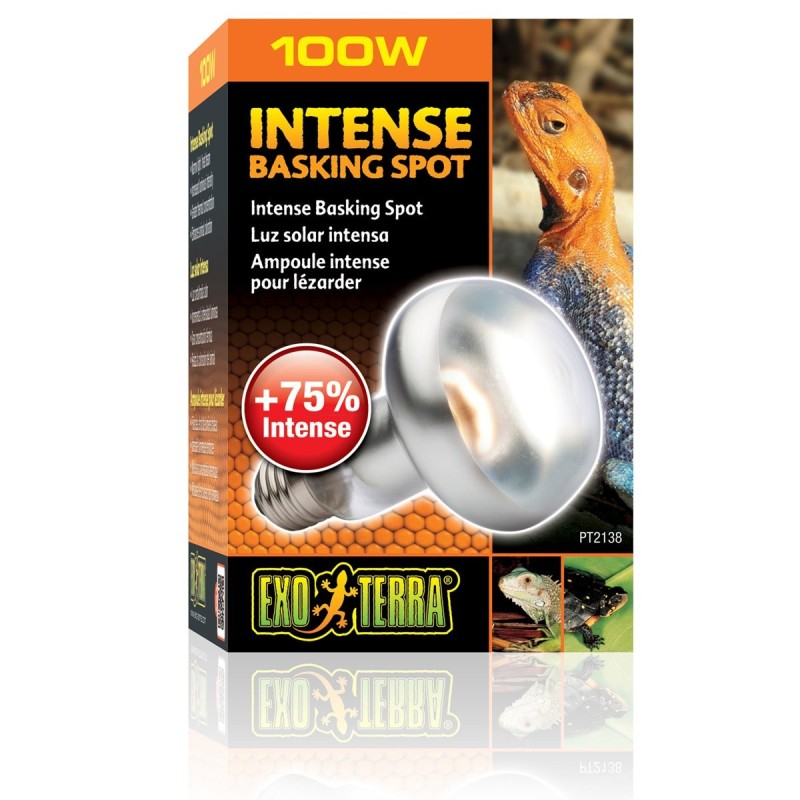 Exo Terra Intense Basking Spot 4und 1 gratis 100 Watt