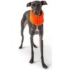 GF Pet Scout Schlauchschal orange L