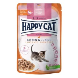 Happy Cat Tray Kitten /...