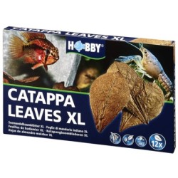 Hobby Catappa Leaves XL 12...