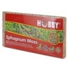 Hobby Sphaghnum Moss 100g