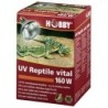 Hobby UV-Reptile vital 160W