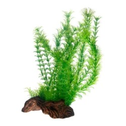 Hobby Aquariumdekoration Flora Root 3 L: 30 cm