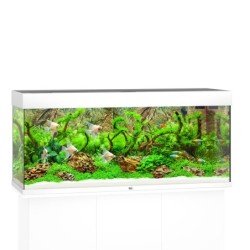 Juwel Rio 240 LED Komplett...