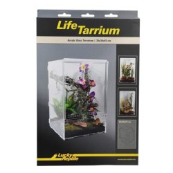 Lucky Reptile LifeTarrium...