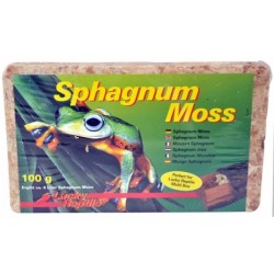 Lucky Reptile Sphagnum Moos...