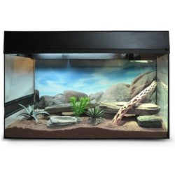 Lucky Reptile Terrarium...