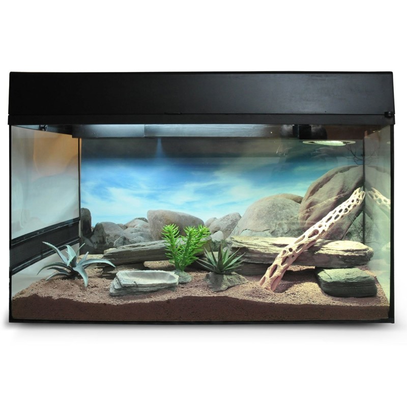 Lucky Reptile Terrarium Starter Kit 50 cm "Wüstengecko" schwarz