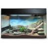 Lucky Reptile Terrarium Starter Kit 50 cm "Wüstengecko" schwarz