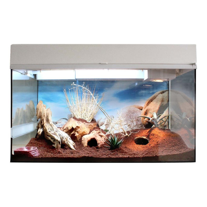 Lucky Reptile Terrarium Starter Kit 80 cm "Leopardgecko" weiß