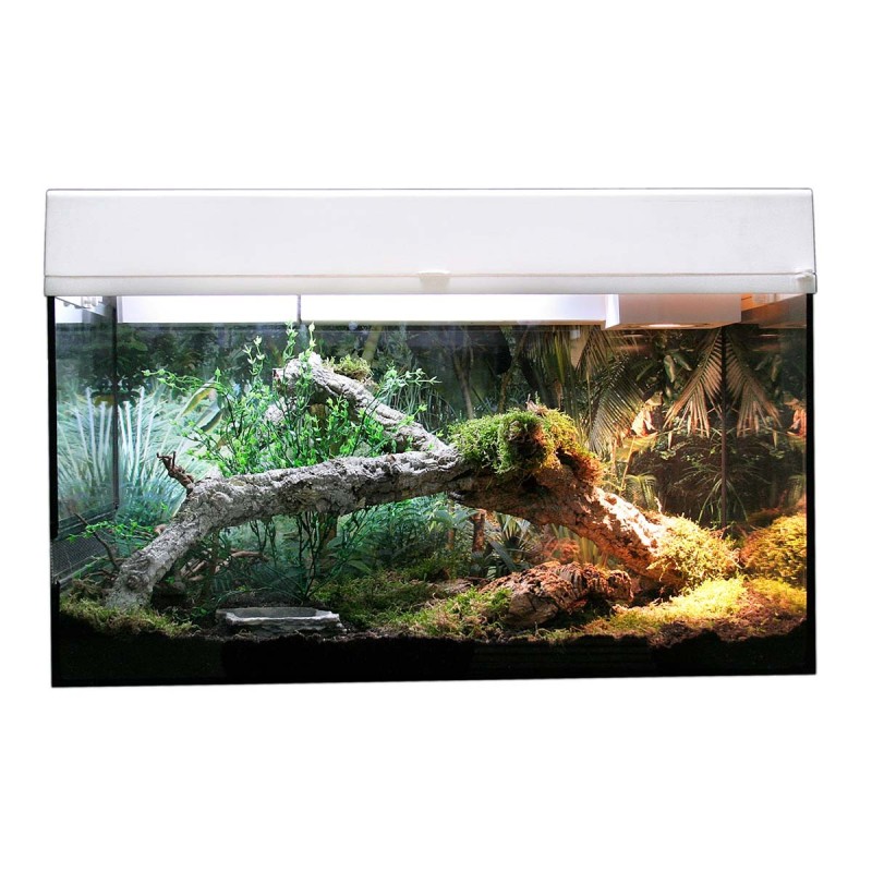 Lucky Reptile Terrarium Starter Kit 80 cm "Schlange" weiß