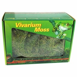 Lucky Reptile Vivarium Moss...