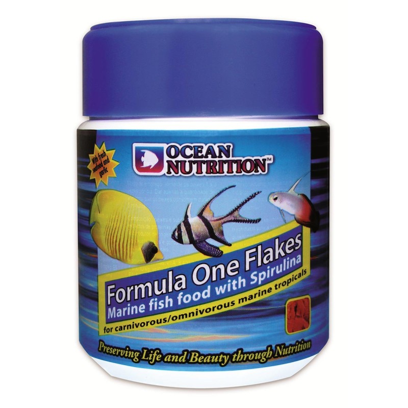 Ocean Nutrition Formula ONE Flakes 156g