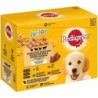 PEDIGREE Pouch Junior Gem. Selektion Multipack 24x100g