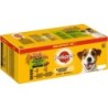 PEDIGREE Megapack Gemischte Selektion in Sauce 40x100g