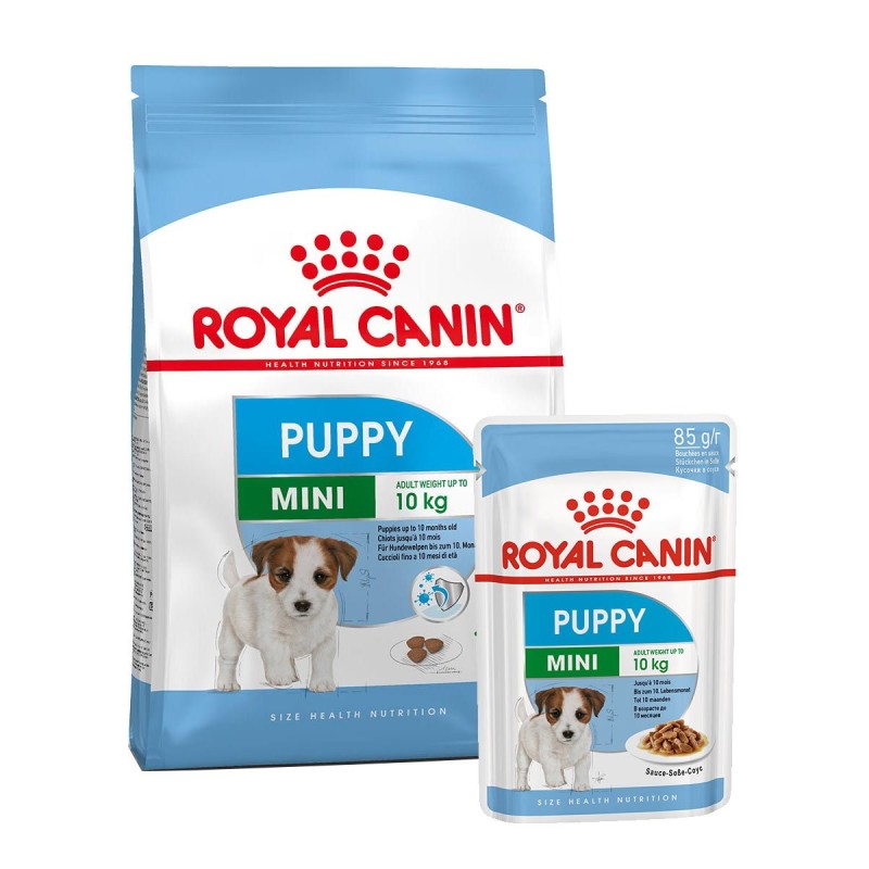 ROYAL CANIN Mini Puppy 2kg und  Mini Puppy in Soße 12x85g