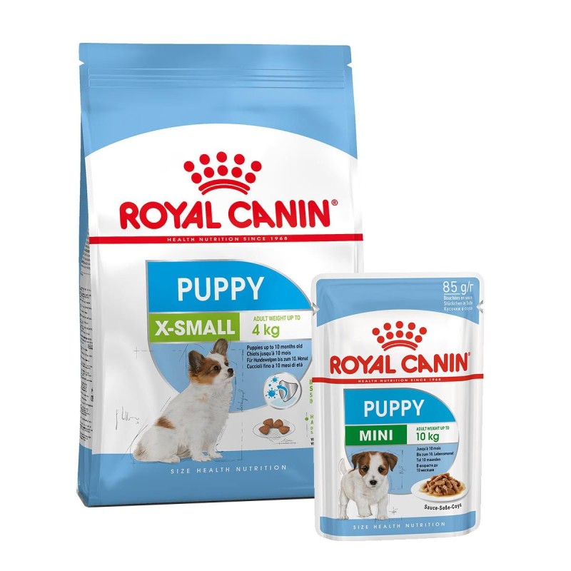 ROYAL CANIN X-Small Puppy 1,5kg und  Mini Puppy in Soße 12x85g