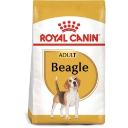 ROYAL CANIN Beagle Adult...