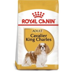 ROYAL CANIN Cavalier King...