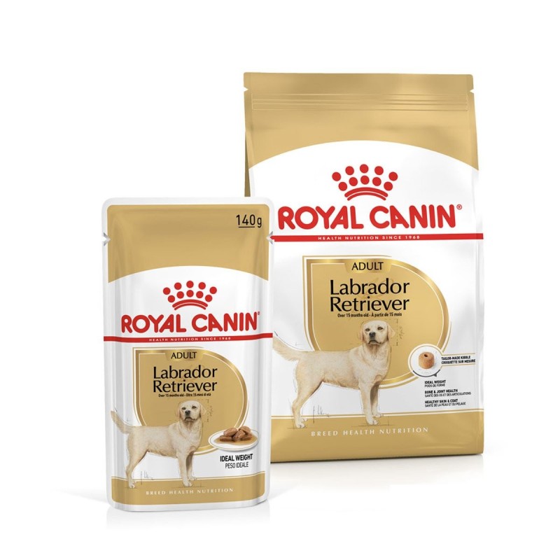 ROYAL CANIN Labrador Retriever Adult 3kg und  Labrador Adult in Soße 10x140g