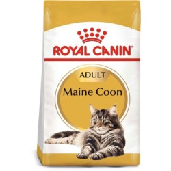 ROYAL CANIN Maine Coon...