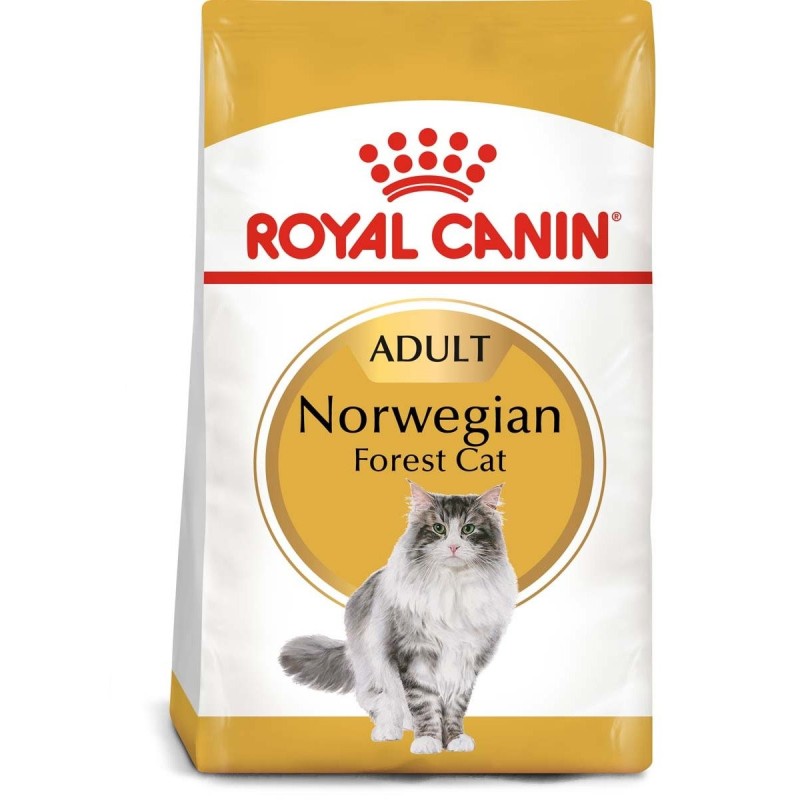 ROYAL CANIN Norwegian Forest Cat Adult Trockenfutter für Norwegische Waldkatzen 10kg