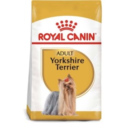 ROYAL CANIN BHN Yorkshire...