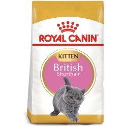 ROYAL CANIN British...