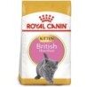 ROYAL CANIN British Shorthair Kittenfutter trocken für Kätzchen 10 kg