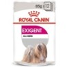 ROYAL CANIN EXIGENT Nassfutter für wählerische Hunde 12x85g