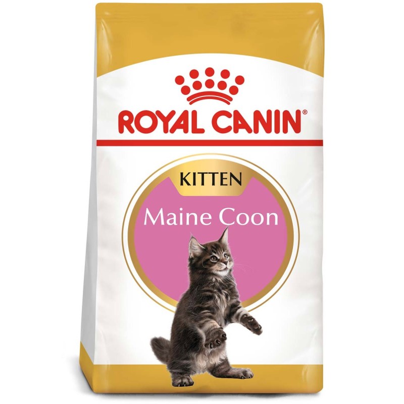 ROYAL CANIN Maine Coon Trockenfutter für Kätzchen 10 kg