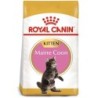 ROYAL CANIN Maine Coon Trockenfutter für Kätzchen 10 kg