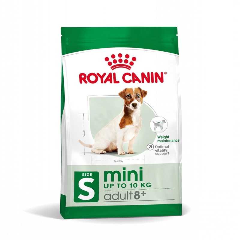 ROYAL CANIN MINI Adult 8und  Trockenfutter für ältere kleine Hunde 2kg