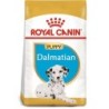 ROYAL CANIN Dalmatian Puppy Welpenfutter für Dalmatiner 12kg