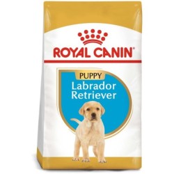 ROYAL CANIN Labrador...