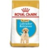 ROYAL CANIN Labrador Retriever Puppy Welpenfutter trocken 12 kg