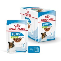 Royal Canin SHN X-Small...