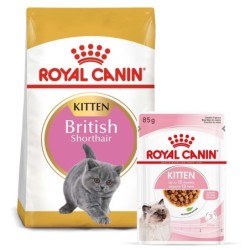 ROYAL CANIN KITTEN British...