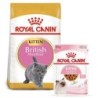 ROYAL CANIN KITTEN British Shorthair 2kg und  Kitten in Soße 12x85g