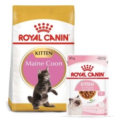 ROYAL CANIN KITTEN Maine...