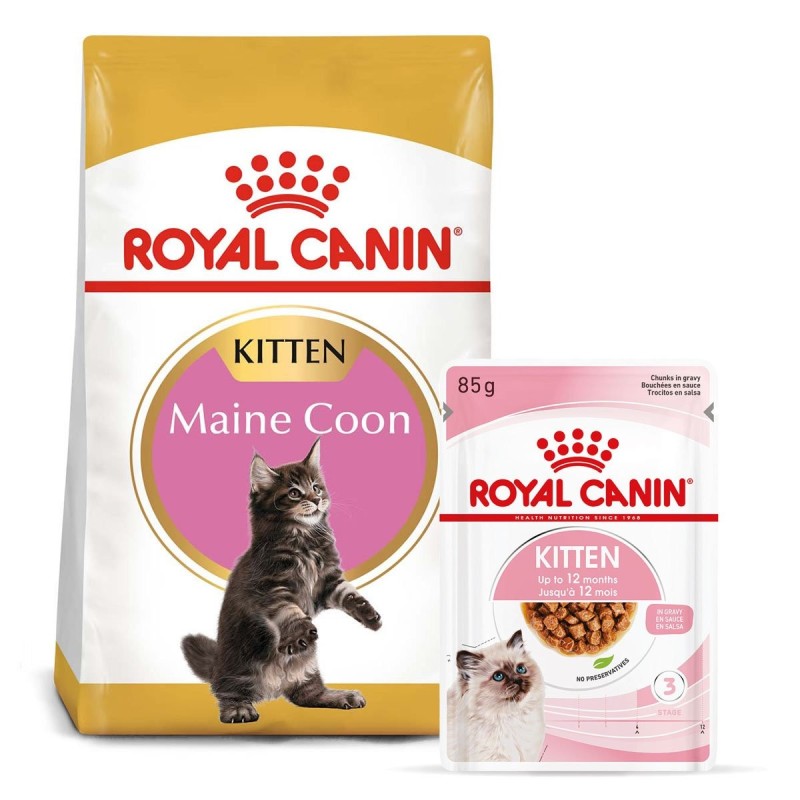 ROYAL CANIN KITTEN Maine Coon 4kg und  Kitten in Soße 12x85g