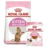 ROYAL CANIN KITTEN Sterilised 3,5kg und  Kitten in Soße 12x85g