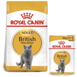 ROYAL CANIN ADULT British...