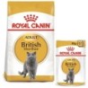 ROYAL CANIN ADULT British Shorthair 2kg und  Nassfutter in Soße 12x85g