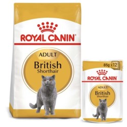 ROYAL CANIN ADULT British...